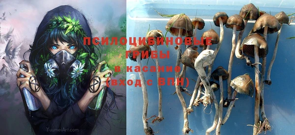 мескалин Осинники
