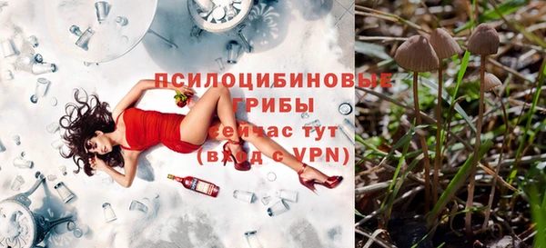 мескалин Осинники