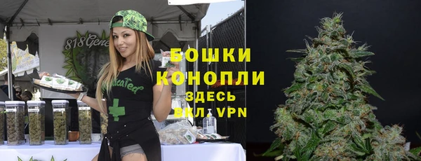мескалин Осинники