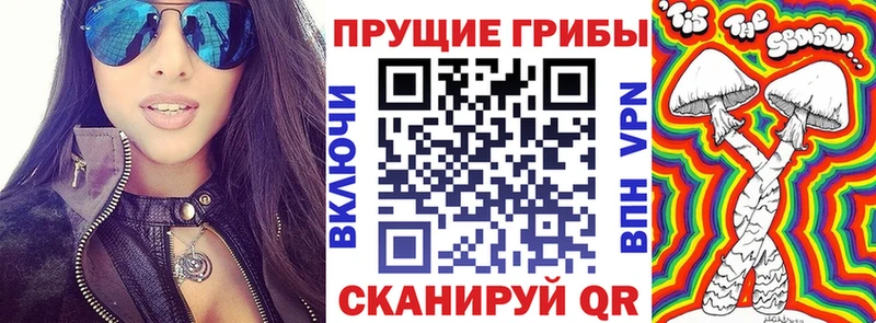 ОМГ ОМГ как войти  Туймазы  Галлюциногенные грибы мицелий 